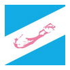 bermies logo