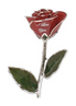 Love is a Rose logo