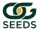OG Seeds logo