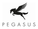 Pegasus Menswear logo