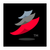 Roman logo
